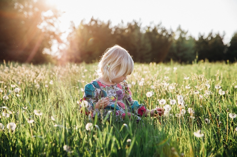 girl with blonde hair in a sun flare sitting in dandelions